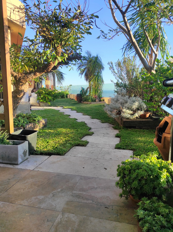 techo jardin, techo verde, azotea verde, cubierta verde, terraza jardin, terrazas verdes, azotea jardin, techo vivo
