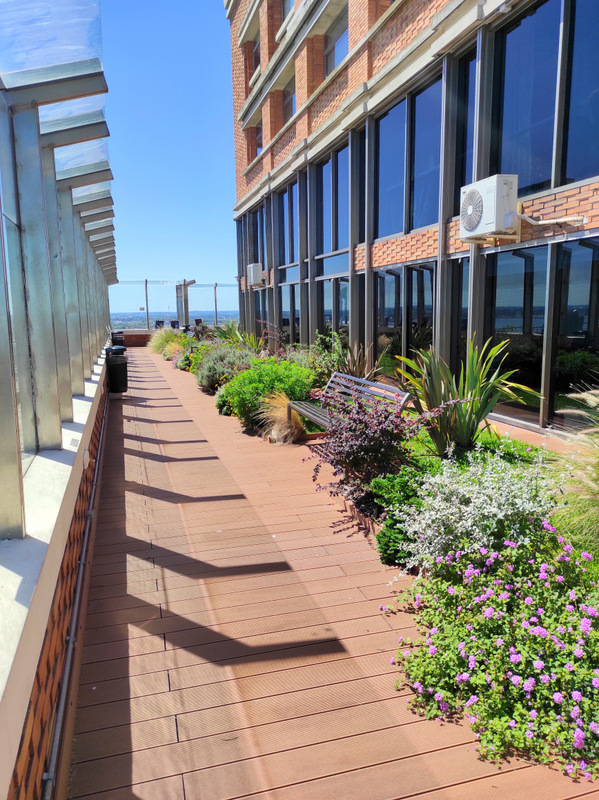 techo jardin, techo verde, azotea verde, cubierta verde, terraza jardin, terrazas verdes, azotea jardin, techo vivo