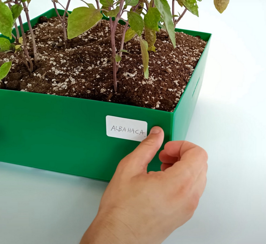 techo jardin, techo verde, azotea verde, cubierta verde, terraza jardin, terrazas verdes, azotea jardin, techo vivo