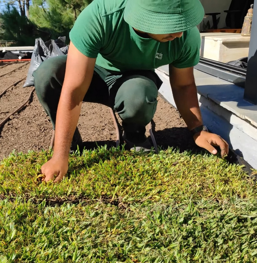 techo jardin, techo verde, azotea verde, cubierta verde, terraza jardin, terrazas verdes, azotea jardin, techo vivo